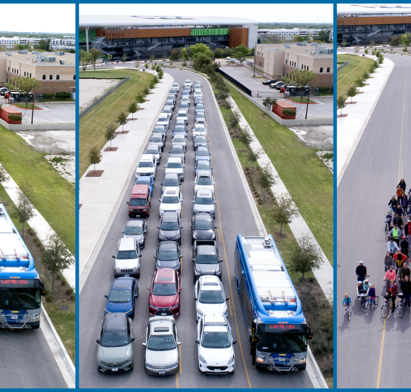 image of 50 cars next to 50 bicycles next to 50 people and 1 bus