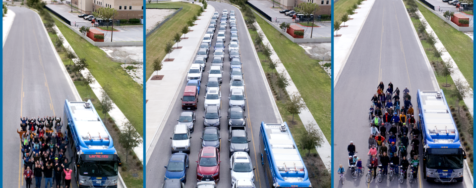 image of 50 cars next to 50 bicycles next to 50 people and 1 bus