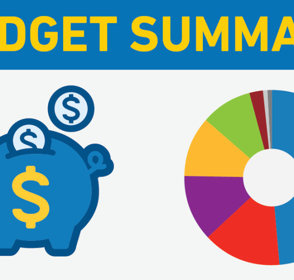 budget summary banner