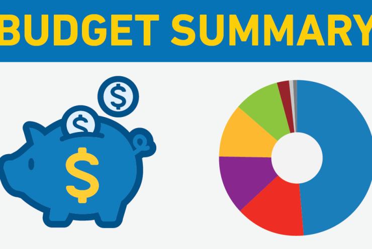 budget summary banner