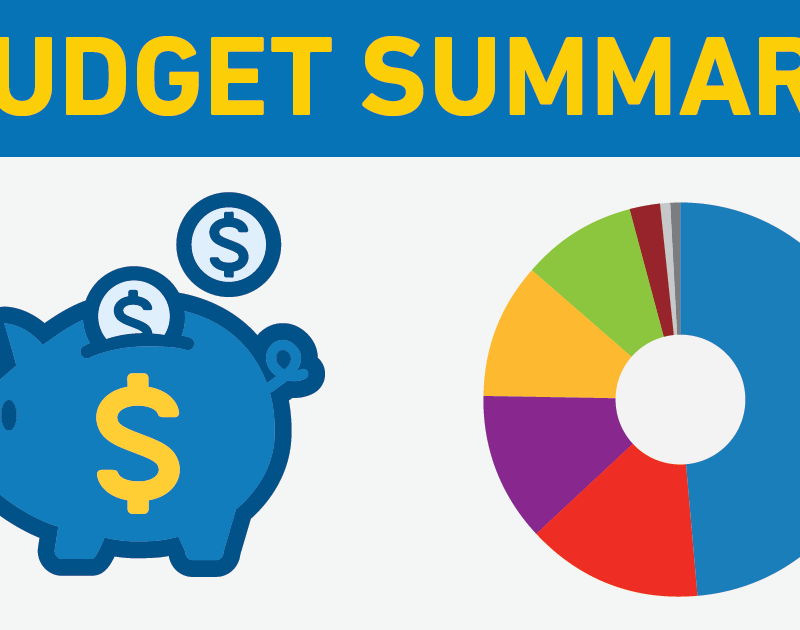 budget summary banner