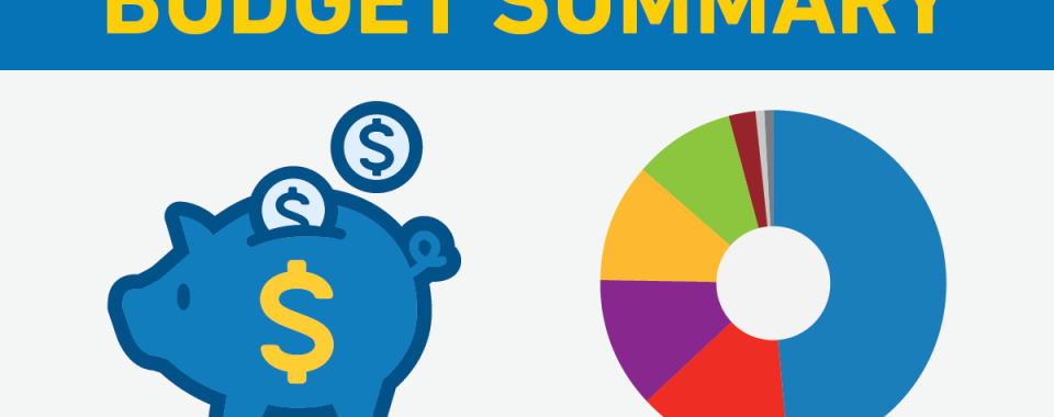 budget summary banner